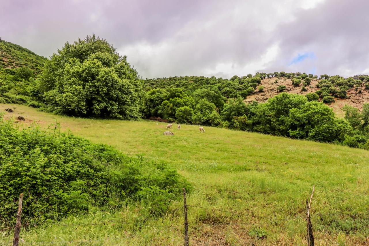 Country Home Genesi 20 Min From Trikala Εξωτερικό φωτογραφία