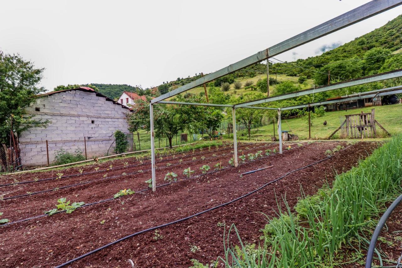 Country Home Genesi 20 Min From Trikala Εξωτερικό φωτογραφία