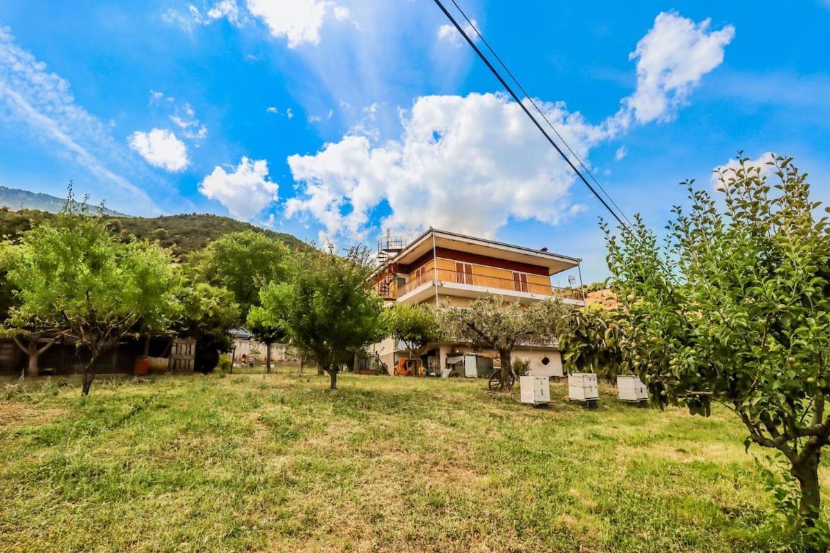 Country Home Genesi 20 Min From Trikala Εξωτερικό φωτογραφία