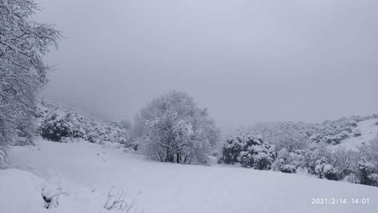 Country Home Genesi 20 Min From Trikala Εξωτερικό φωτογραφία