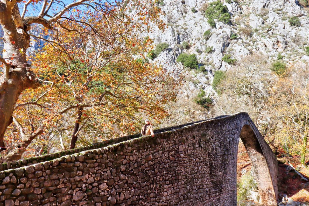 Country Home Genesi 20 Min From Trikala Εξωτερικό φωτογραφία