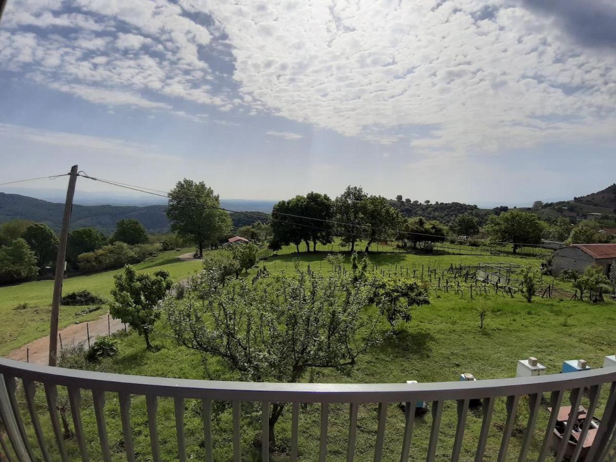 Country Home Genesi 20 Min From Trikala Εξωτερικό φωτογραφία