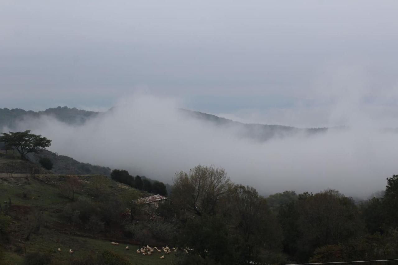 Country Home Genesi 20 Min From Trikala Εξωτερικό φωτογραφία