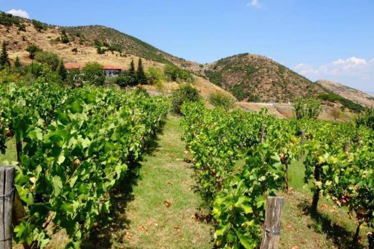 Country Home Genesi 20 Min From Trikala Εξωτερικό φωτογραφία
