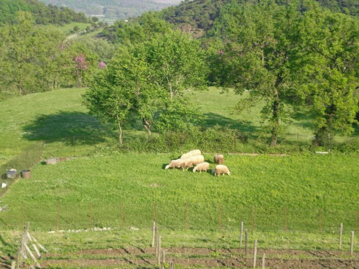 Country Home Genesi 20 Min From Trikala Εξωτερικό φωτογραφία