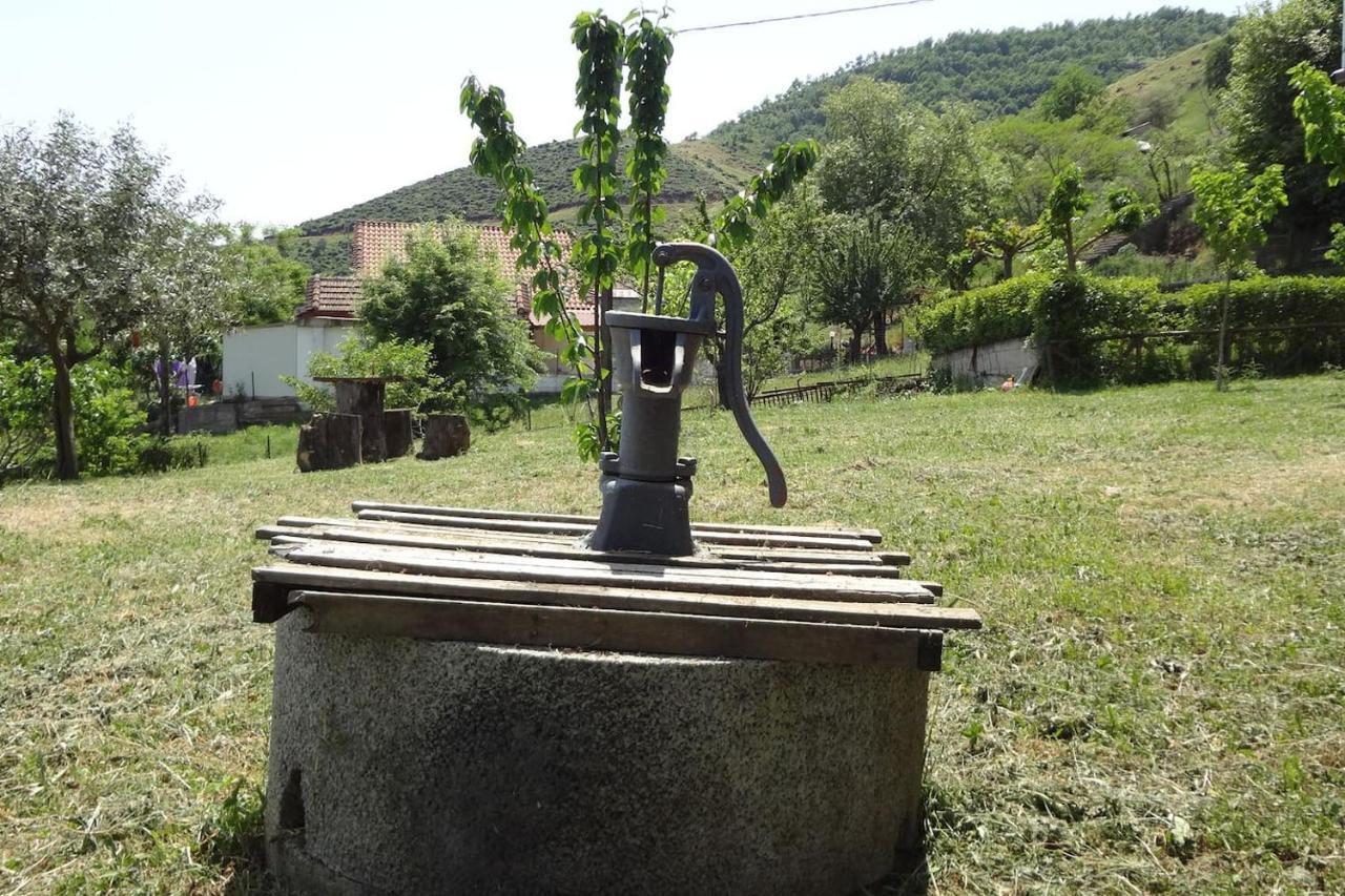 Country Home Genesi 20 Min From Trikala Εξωτερικό φωτογραφία